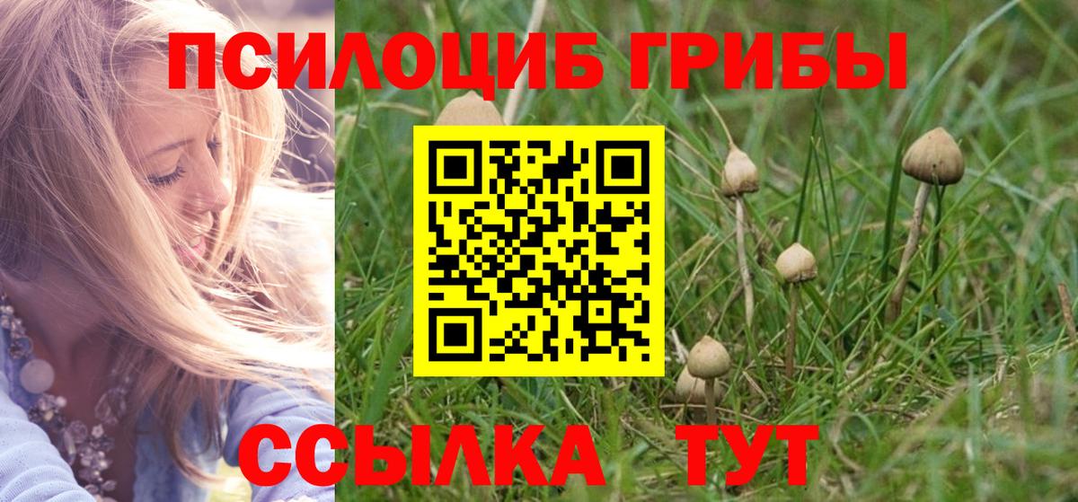 Псилоцибиновые грибы ЛСД Шебекино