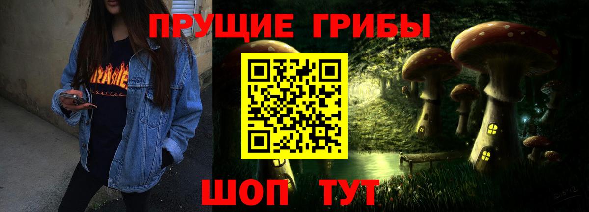 Псилоцибиновые грибы Psilocybe  Вход с VPN  магазин  наркотиков  Шебекино 